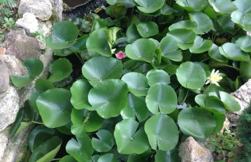 Michael's Apartment's - Foto 9