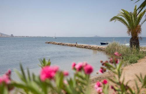 Vivero El Suso - Foto 11