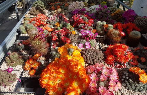 Tranquilla dependance nel verde dell'alta Brianza. - Foto 14