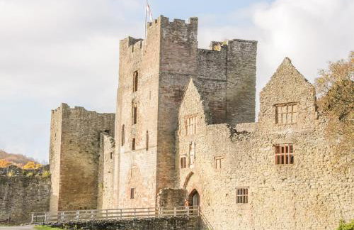 High Grove - Photo 24