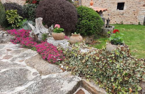 Apartamentos Alburiñas Ribeira Sacra - Foto 13