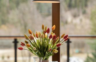 Hotel Litworowy Staw - Foto 29