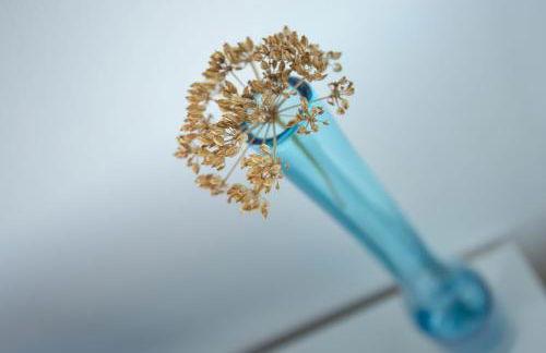 Apartamentos Alocea - Foto 9