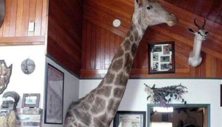 Whitebird Summit 5- room Lodge - Foto 5