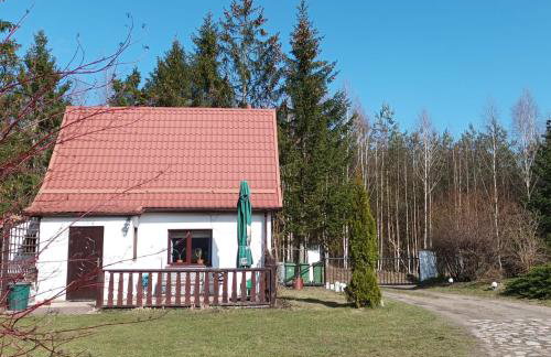 Siedlisko Pili Pili - Foto 17