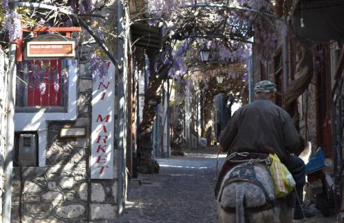 Villa Molivos Views - Foto 22