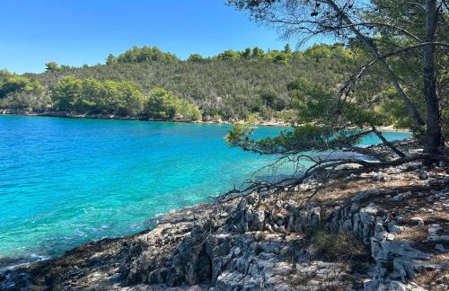 Studio Apartment - Foto 15