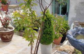 Wesley House Holidays - Choice of 2 Quirky Cottages in 4 private acres - Foto 44