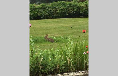 Stay on the grounds of this beautiful Manor house - Photo 8