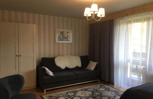 Apartamenty w Jurgowie Świstokówka - Foto 33