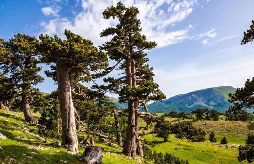 Canal Greco - Foto 24