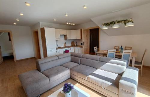 Apartament Kwiat Paproci - Photo 1