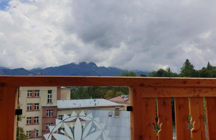 Villa Fortuna - Regionalne apartamenty & SPA - Sauna, Grill, Jacuzzi z widokiem na Tatry - Foto 77