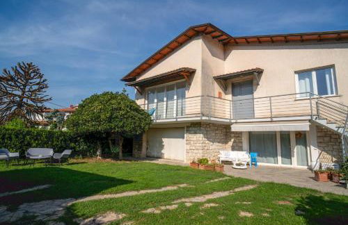 Helianthus - Photo 3