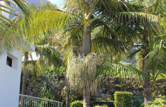 Casa da Capelinha - Foto 159