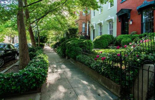 DesignerFlat Nestled Between Dupont&Logan Circles - Foto 19