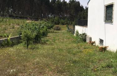 Le Domaine de l’Orangeraie - Foto 45