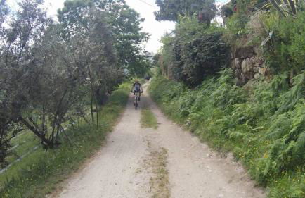 Casa Do Palheiro - Photo 43