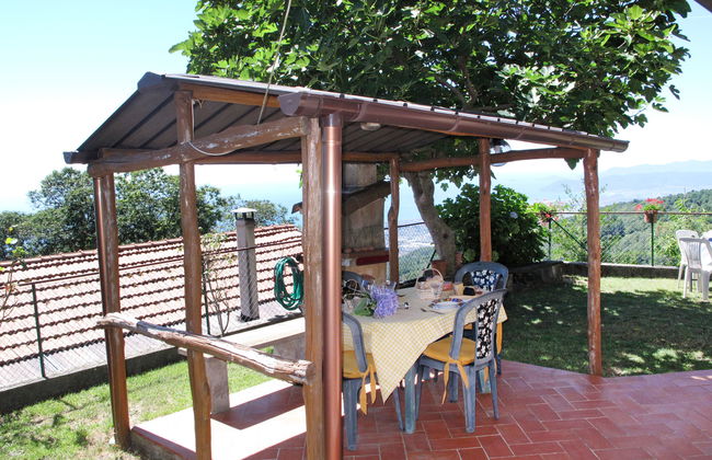 Le Ortensie - Foto 15