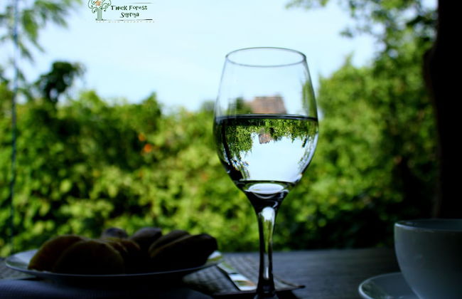 Thick forest sigiriya - Photo 25