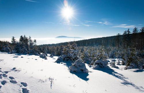 Gästehaus Nietmann_ Ferienwohnung 7 - Foto 22