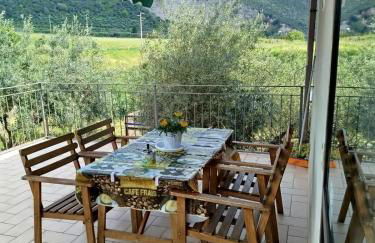 L'oasi di Alice - Foto 23