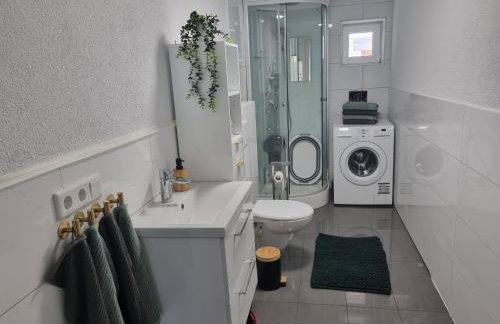 Schöne Wohnung in ruhiger Gegend - Foto 5