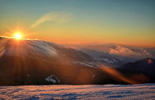 Gawra Gustawa - Foto 31