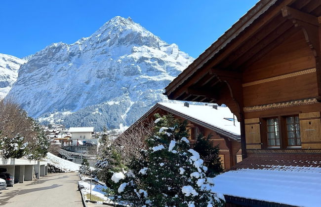 Spacious Apartment With Outstanding Views Direct Access Top of Europe - Photo 20