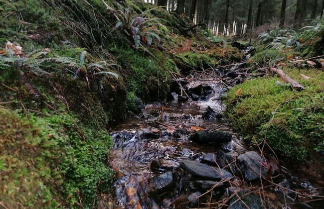 Group Stay With Pool, Chevron - Photo 37