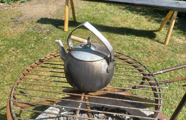 Lapland Pure Nature and More! - Foto 19