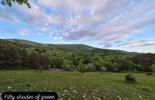 Casa Tilia - Foto 63