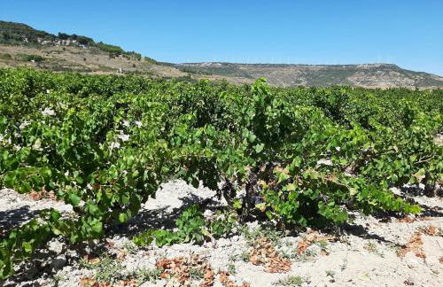 Casa Rural Garnacha de Borja has a Barbacue and Terrace - Foto 125