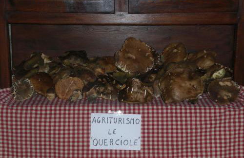 Agriturismo Le Querciole - Photo 50