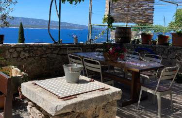 Blue Dream - Foto 46