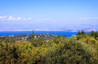 Telia Thea - Foto 17