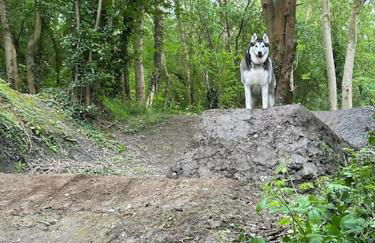 Number 26 Van Dyk Village - Foto 21