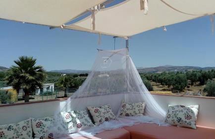 Finca Los Jacaros - Foto 21