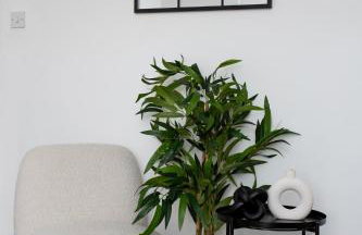 Vacant Nests The Attwood Smart Tv WIFI - Foto 11