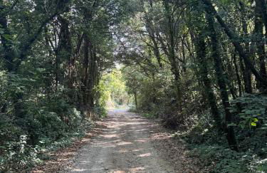 Gite dans ancien moulin - Foto 12