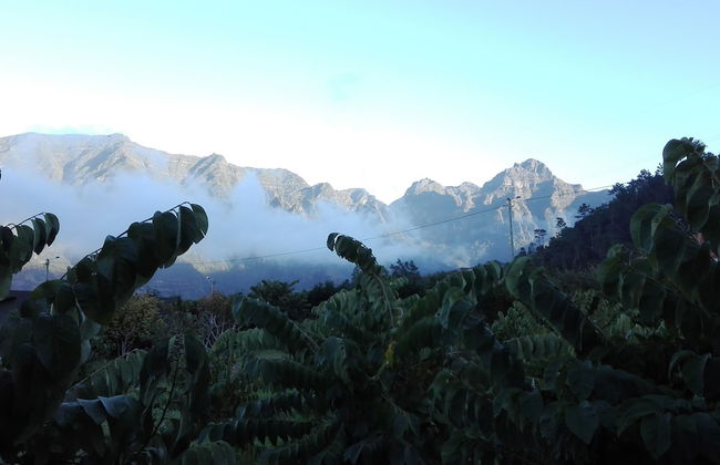 Grannys Farm - Foto 51