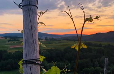 Sonnenlay Lounge - Studio & Ferienhaus - Foto 35