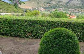 Altera Vita - Foto 67