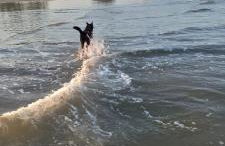 Sobrado com vista profissional do mar - Foto 24