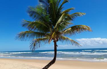 Casas Oceano - Foto 14