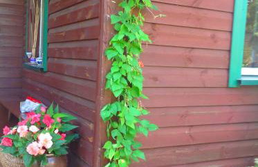 Dom na skraju Puszczy Białowieskiej - Foto 6