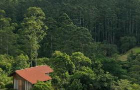 Espaço Isha Canelinha - Foto 18