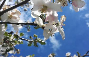 Ferienhof"WaldEsel Rippersroda" - Foto 52