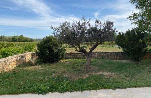 Mas La Resse - Foto 44