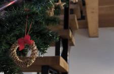 Šljivik stari - Photo 21